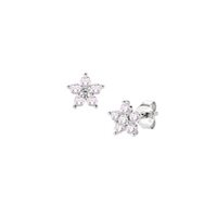 Orecchini Amen Donna Rainbow in Argento Zircone ESTEBROB